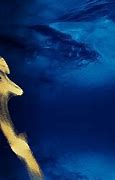 blue chamber
